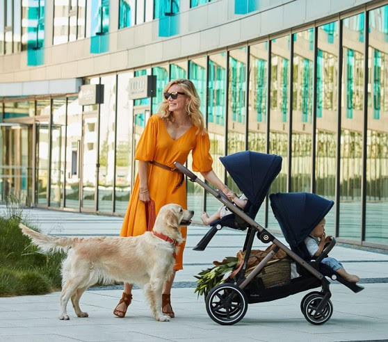 carucior gemeni Cybex Gazelle
